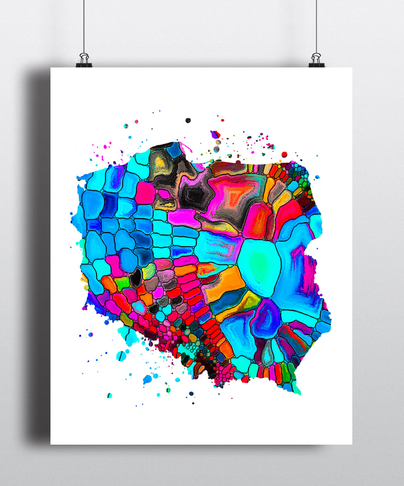 Poland Map Art Print - Unframed - Zuzi's