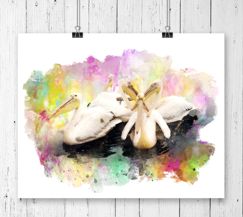 Pelicans Watercolor Art Print - Unframed - Zuzi's